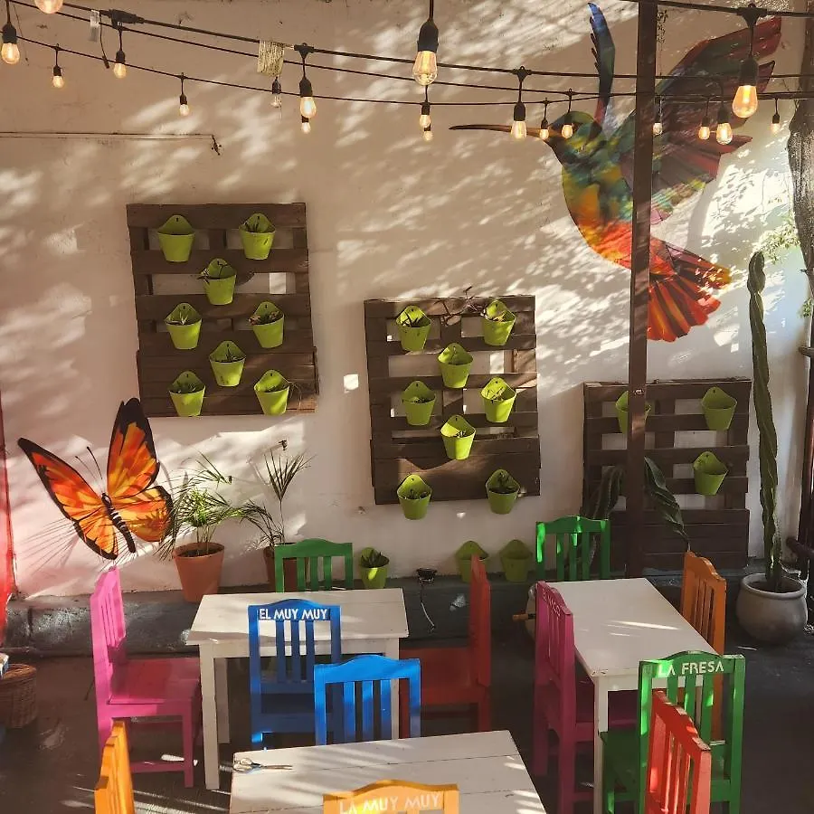 Tatil Evi Casa Frida Villa Tulum